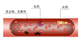 水蛭素原理(lǐ).png