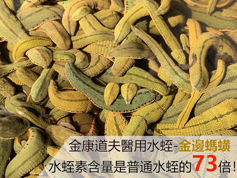 為(wèi)什么金康道夫水蛭素选用(yòng)菲牛蛭？