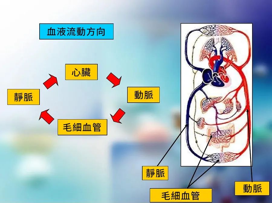 金康道夫天然水蛭素，有(yǒu)效助力微循环障碍！