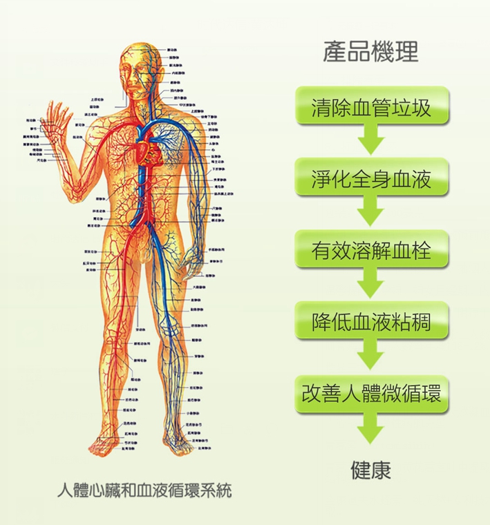 血管清道夫——水蛭素